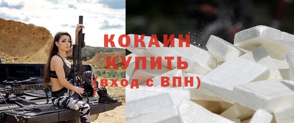 мдпв Надым