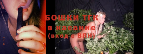 мдпв Надым