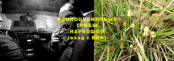 мдпв Нея