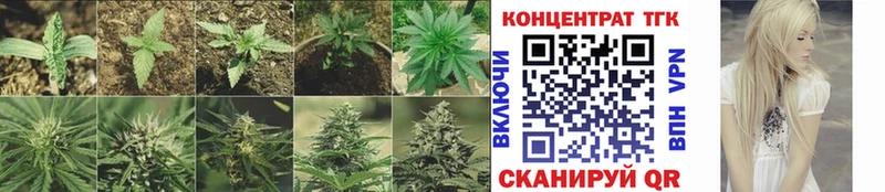 даркнет сайт  Полярные Зори  Дистиллят ТГК Wax 