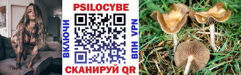 Галлюциногенные грибы MAGIC MUSHROOMS  kraken онион  Полярные Зори 